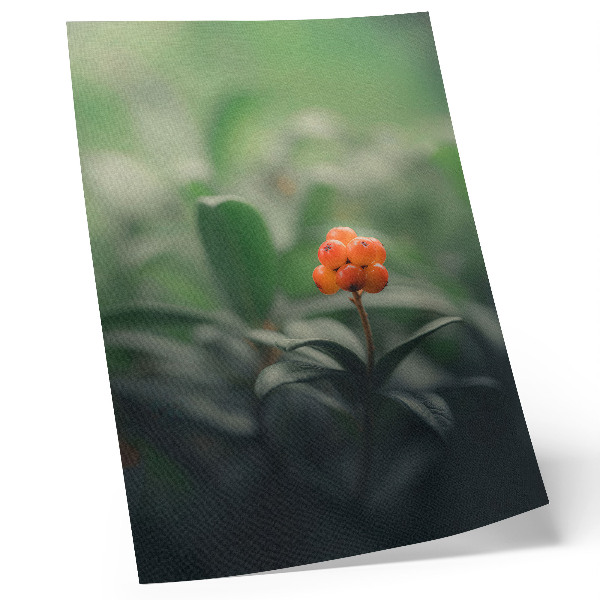Poster rezistent pentru perete Fructe de pădure portocalii pe fundal verde