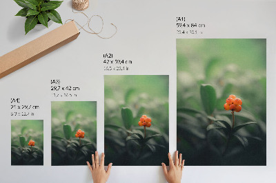 Poster rezistent pentru perete Fructe de pădure portocalii pe fundal verde