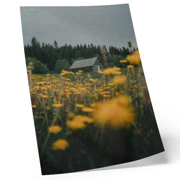 Poster în culori saturate Flori galbene de pădure rustice de căsuță estompate