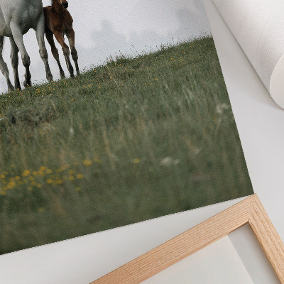 Grafică modernă pe pânză Frumusețea naturii cu priveliștea liniștitoare a cailor