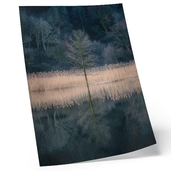 Poster rezistent pentru perete Reflecție de un singur copac lac ceață
