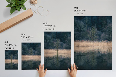 Poster rezistent pentru perete Reflecție de un singur copac lac ceață