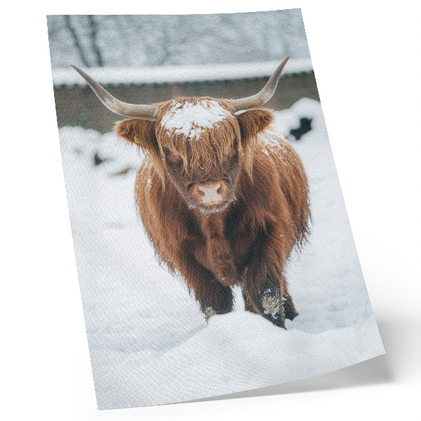 Poster rezistent pentru perete Vite în zăpadă: contrastul dintre animal și natură