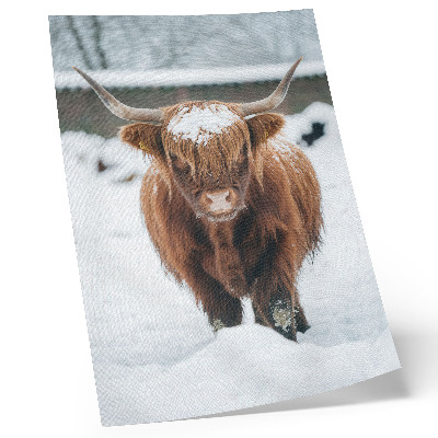 Poster rezistent pentru perete Vite în zăpadă: contrastul dintre animal și natură