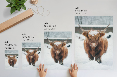 Poster rezistent pentru perete Vite în zăpadă: contrastul dintre animal și natură