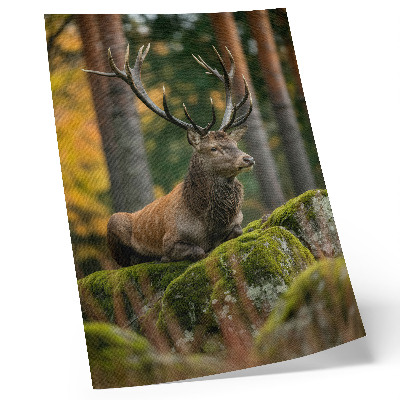 Poster în culori saturate Un cerb maiestuos într-un cadru forestier