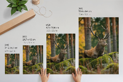 Poster în culori saturate Un cerb maiestuos într-un cadru forestier