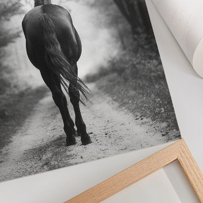 Poster în culori saturate Fotografie cu cal alb-negru în pădure