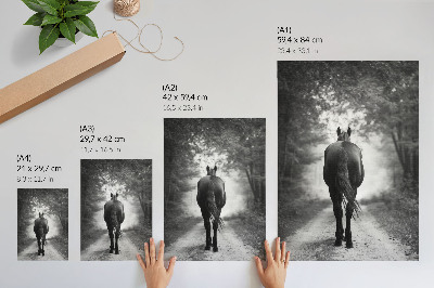 Poster în culori saturate Fotografie cu cal alb-negru în pădure