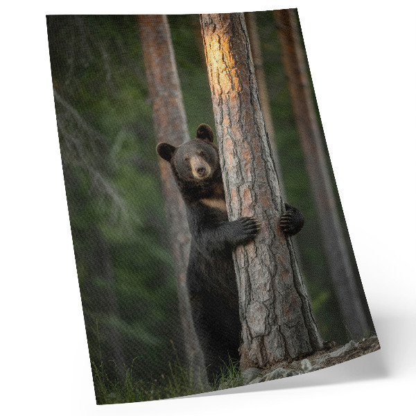 Poster rezistent pentru perete Compoziție realistă cu ursul în pădure