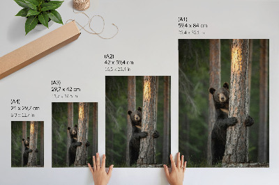 Poster rezistent pentru perete Compoziție realistă cu ursul în pădure