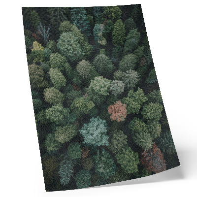 Grafică modernă pe pânză Peisaj forestier de sus cu diverse culori de frunze