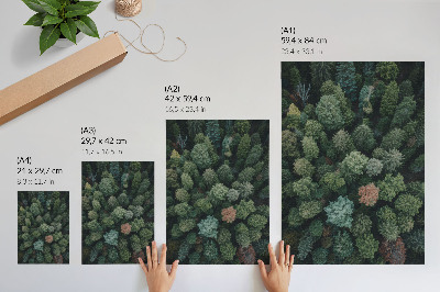 Grafică modernă pe pânză Peisaj forestier de sus cu diverse culori de frunze
