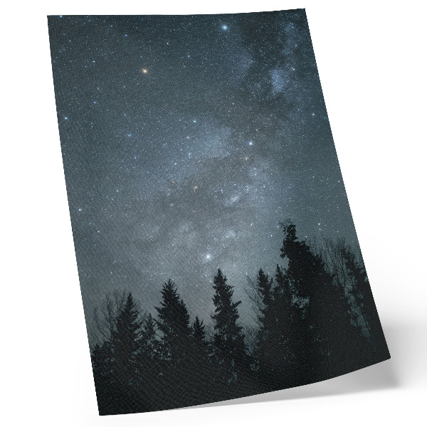 Poster în culori saturate Un cer nocturn plin de stele și siluete de copaci