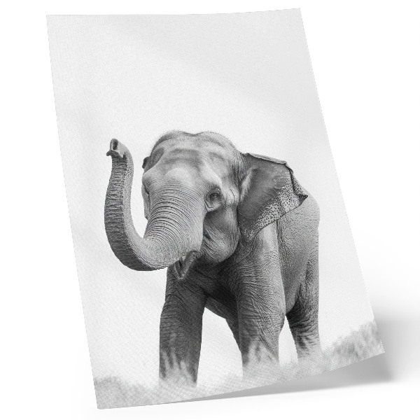 Poster rezistent pentru perete Un elefant monocrom cu trompa ridicată
