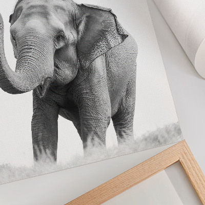 Poster rezistent pentru perete Un elefant monocrom cu trompa ridicată