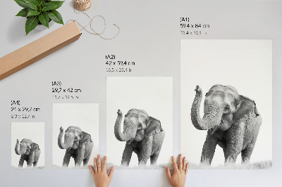 Poster rezistent pentru perete Un elefant monocrom cu trompa ridicată