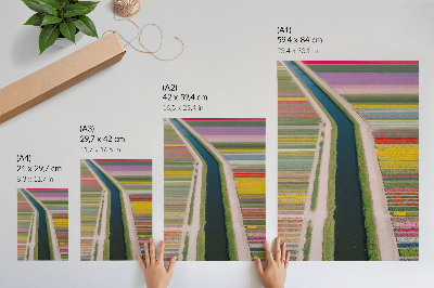 Poster rezistent pentru perete Dungi colorate de flori de-a lungul canalului
