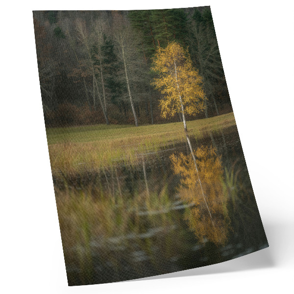 Poster rezistent pentru perete Un copac auriu pe fundalul unei păduri întunecate și al unui lac