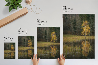 Poster rezistent pentru perete Un copac auriu pe fundalul unei păduri întunecate și al unui lac