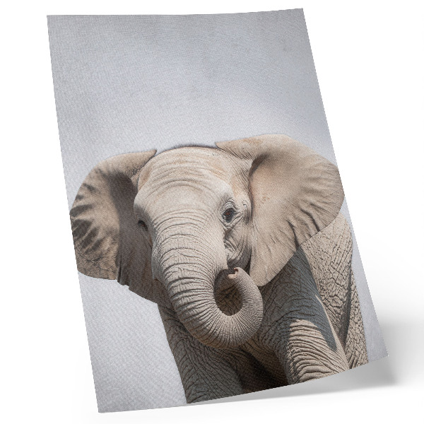 Poster rezistent pentru perete Un elefant tânăr pe un fundal deschis