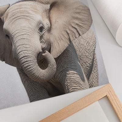 Poster rezistent pentru perete Un elefant tânăr pe un fundal deschis
