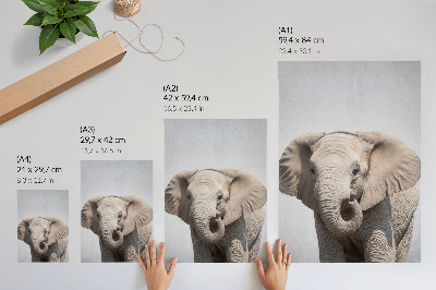Poster rezistent pentru perete Un elefant tânăr pe un fundal deschis