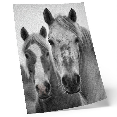 Poster în culori saturate Cai într-o fotografie monocromatică plină de eleganță