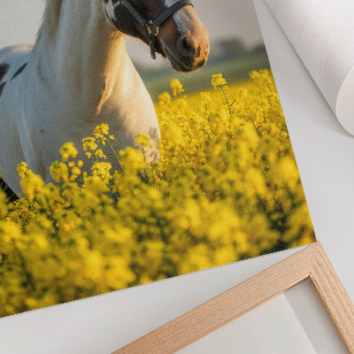 Poster în culori saturate Un cal elegant într-un câmp de primăvară plin de flori