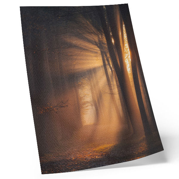 Poster rezistent pentru perete Lumină magică, pădure, copaci, raze de soare, pace