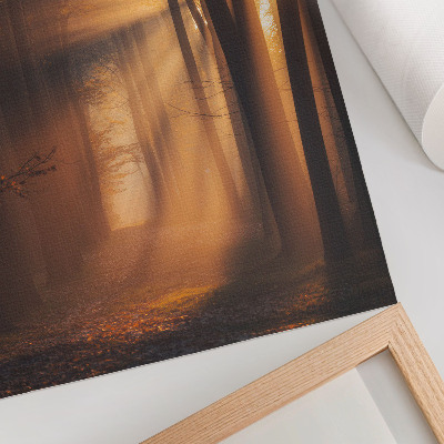 Poster rezistent pentru perete Lumină magică, pădure, copaci, raze de soare, pace
