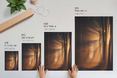 Poster rezistent pentru perete Lumină magică, pădure, copaci, raze de soare, pace