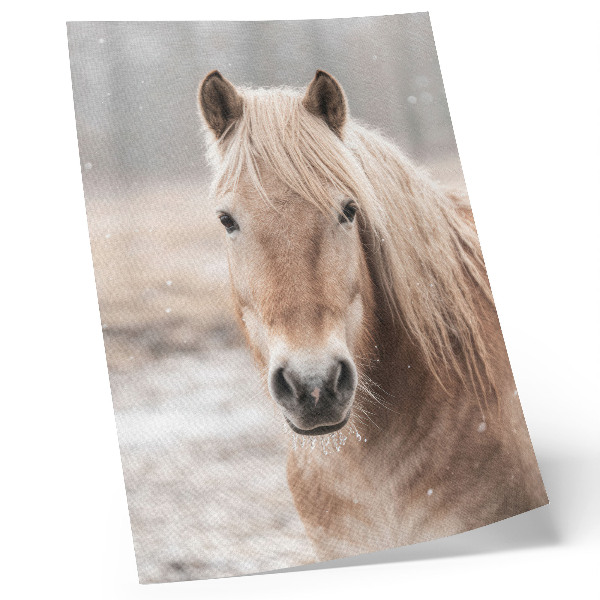 Poster rezistent pentru perete Cal iarnă culori blânde pace natură