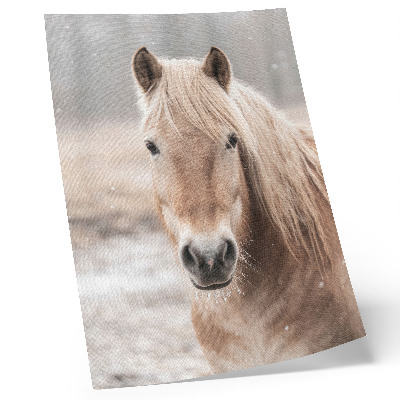 Poster rezistent pentru perete Cal iarnă culori blânde pace natură
