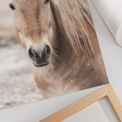 Poster rezistent pentru perete Cal iarnă culori blânde pace natură