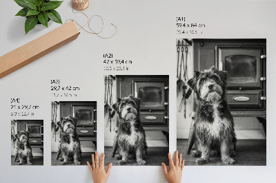 Poster rezistent pentru perete Un câine alb-negru calm stând lângă o sobă veche