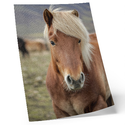 Poster rezistent pentru perete Coamă deschisă la culoare, blană maro, cal islandez