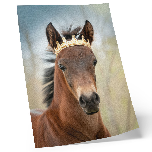 Poster rezistent pentru perete Un cal cu o coroană pe un fundal neutru