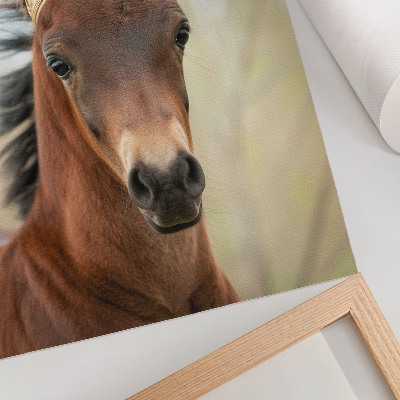 Poster rezistent pentru perete Un cal cu o coroană pe un fundal neutru