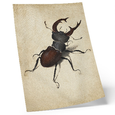 Grafică modernă pe pânză Gândacul de Albrecht Dürer (1505)