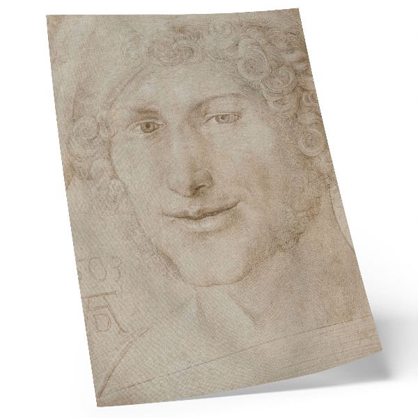 Poster rezistent pentru perete Cap de tânăr (1503) de Albrecht Dürer