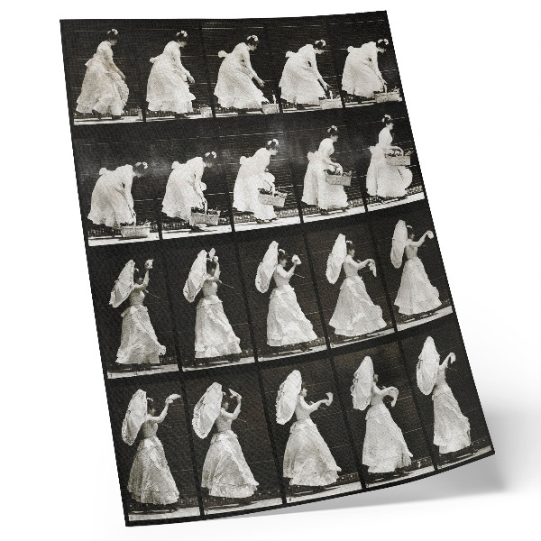 Poster în culori saturate Femeie ridicând un coș, fluturând o batistă (1887) – fotografie de Eadweard Muybridge