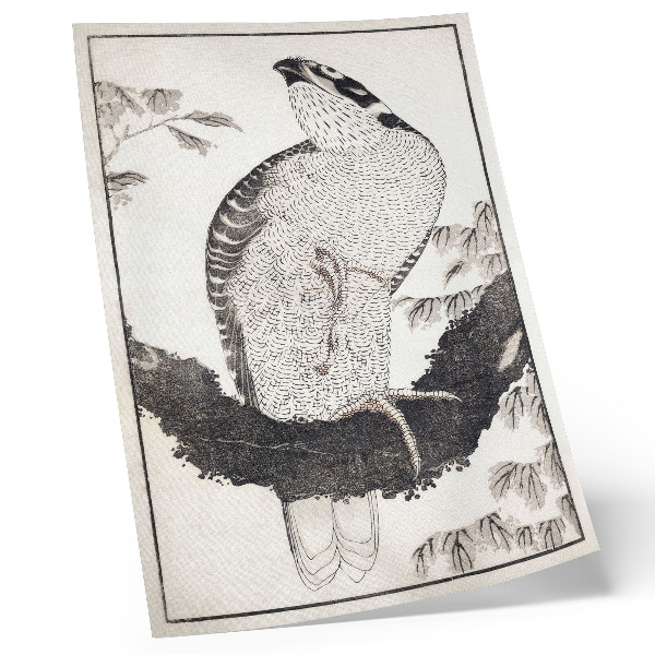 Poster în culori saturate Pasărea de Katsushika Hokusai din Albumul schițelor (1814), gravură japoneză de epocă pe lemn