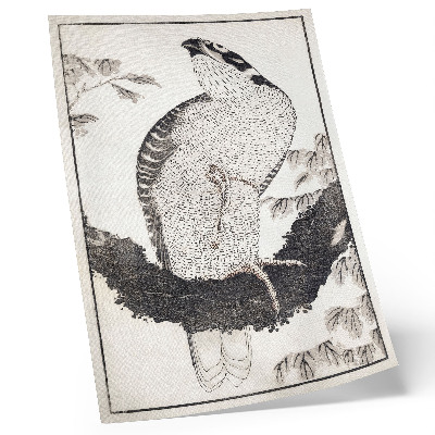 Poster în culori saturate Pasărea de Katsushika Hokusai din Albumul schițelor (1814), gravură japoneză de epocă pe lemn