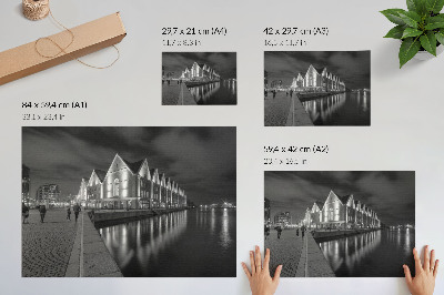 Poster Arhitectură monocromatică cu reflexie în apă