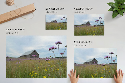 Poster pentru perete Pajiște cu flori violet și galbene în hambar de țară