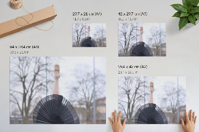 Poster Balet, subtilitate, armonie, atmosferă locală