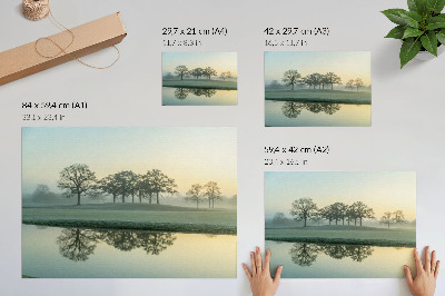 Poster retro Suprafață calmă a apei, reflexie a copacilor, ceață moale