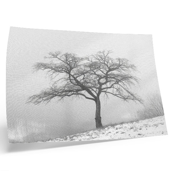 Poster Copac singuratic pace de iarnă minimalism armonie