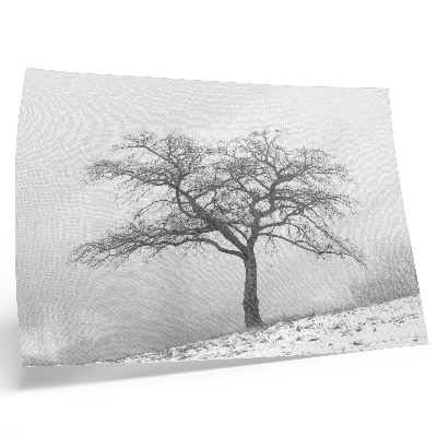 Poster Copac singuratic pace de iarnă minimalism armonie